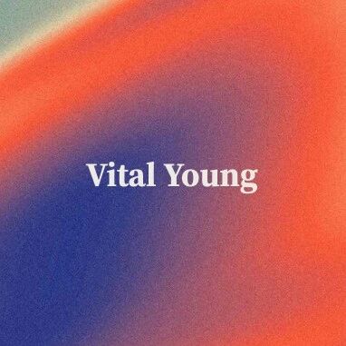 Let Relationships Happen, Let Experiences Grow | Vital Young